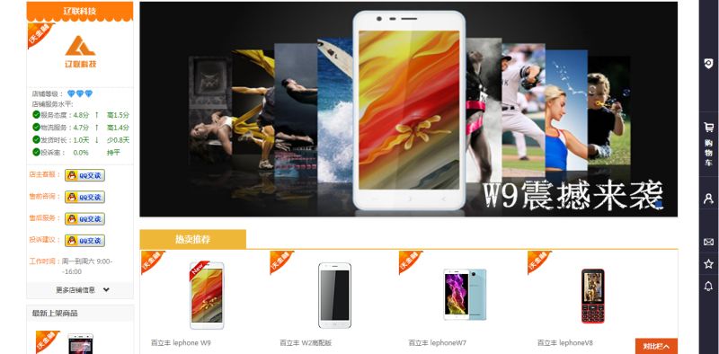 遼聯集團-沃易購項目