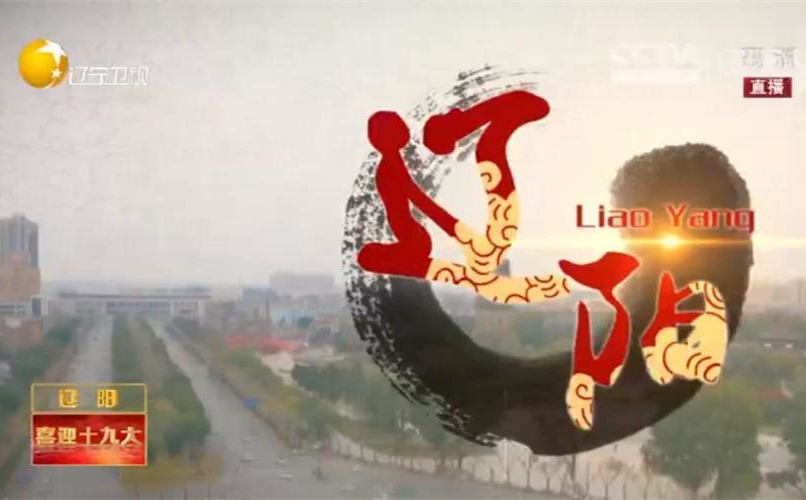 旗幟引領振興---走進遼陽智慧社區福民社區智慧廳