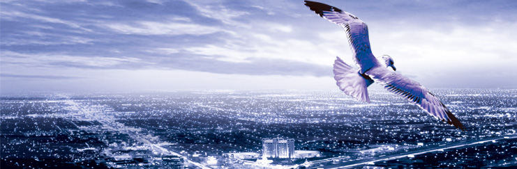 企業核心價值配圖.jpg 企業核心價值配圖.jpg