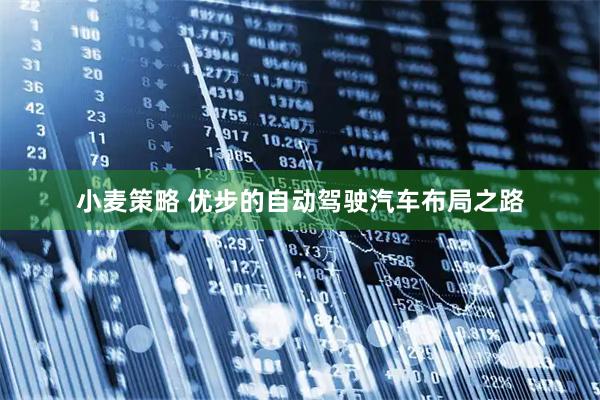 小麦策略 优步的自动驾驶汽车布局之路