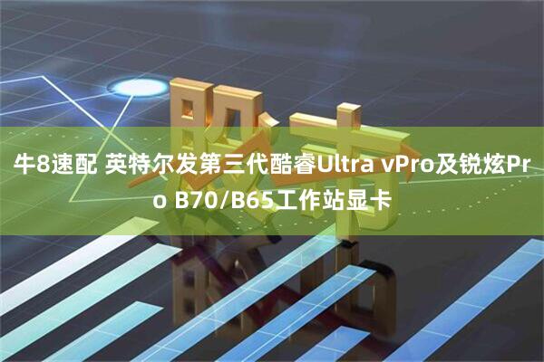 牛8速配 英特尔发第三代酷睿Ultra vPro及锐炫Pro B70/B65工作站显卡