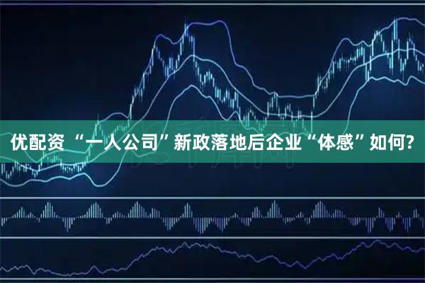 优配资 “一人公司”新政落地后企业“体感”如何?