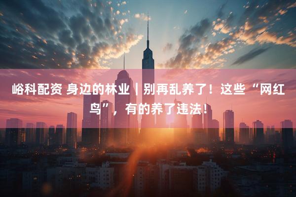峪科配资 身边的林业｜别再乱养了！这些 “网红鸟”，有的养了违法！