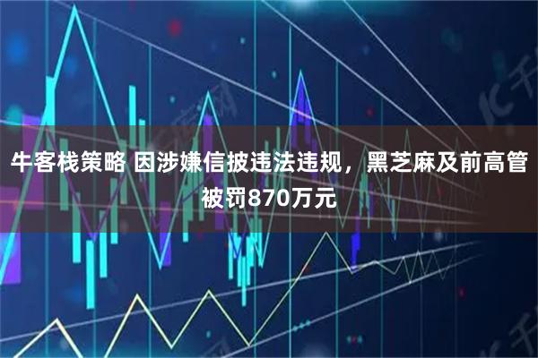 牛客栈策略 因涉嫌信披违法违规，黑芝麻及前高管被罚870万元