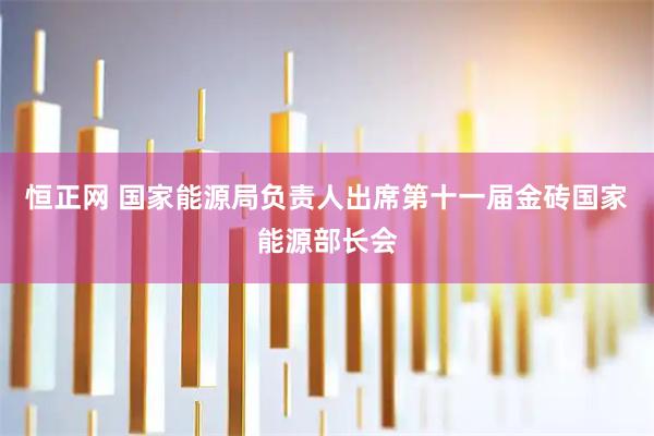 恒正网 国家能源局负责人出席第十一届金砖国家能源部长会