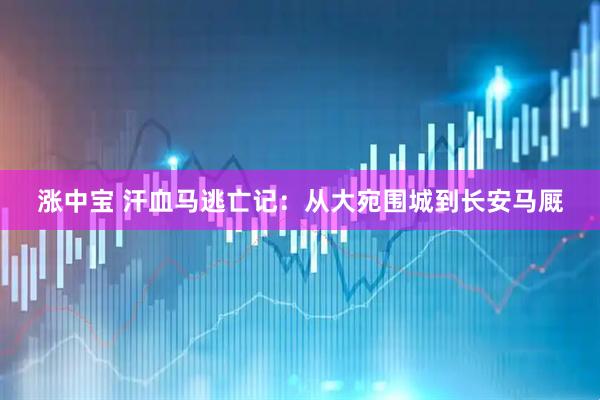 涨中宝 汗血马逃亡记：从大宛围城到长安马厩