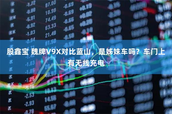 股鑫宝 魏牌V9X对比蓝山，是姊妹车吗？车门上有无线充电