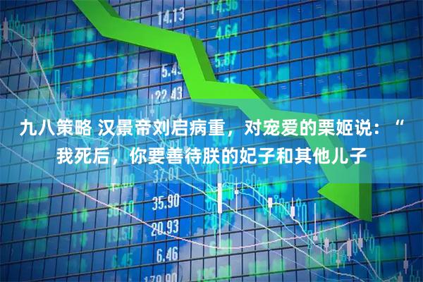 九八策略 汉景帝刘启病重，对宠爱的栗姬说：“我死后，你要善待朕的妃子和其他儿子