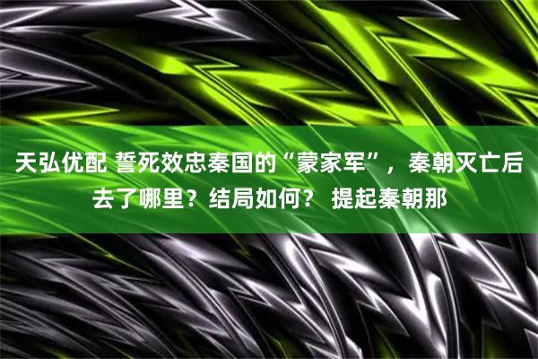 天弘优配 誓死效忠秦国的“蒙家军”，秦朝灭亡后去了哪里？结局如何？ 提起秦朝那