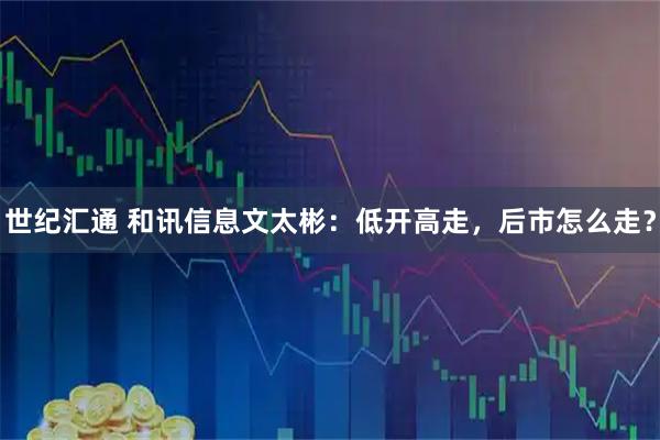 世纪汇通 和讯信息文太彬：低开高走，后市怎么走？