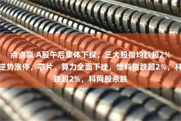 点点赢 A股午后集体下探，三大股指均跌超2%，京东方逆势涨停，芯片、算力全面下挫，恒科指跌超2%，科网股杀跌