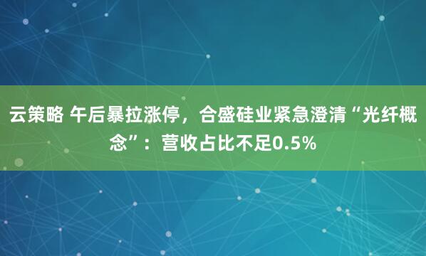 云策略 午后暴拉涨停，合盛硅业紧急澄清“光纤概念”：营收占比不足0.5%