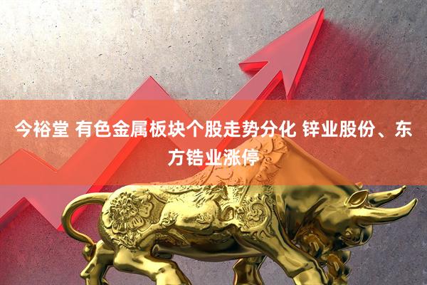 今裕堂 有色金属板块个股走势分化 锌业股份、东方锆业涨停