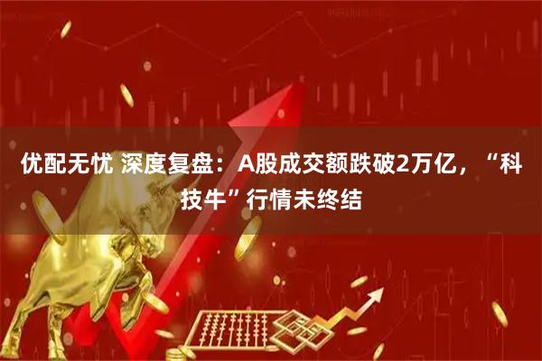 优配无忧 深度复盘：A股成交额跌破2万亿，“科技牛”行情未终结