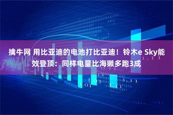 擒牛网 用比亚迪的电池打比亚迪!铃木e Sky能效登顶:同样电量比海獭多跑3成